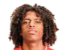 https://img.anzhuodg.com/img/football/player/135ad8787fd13961a93e165e79e736ff.png