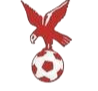 https://img.anzhuodg.com/img/football/team/4802d26df935b78bb2fcdbbff36e8864.png