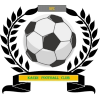 https://img.anzhuodg.com/img/football/team/6dc6d59af2f0962597b412473a6708ee.png